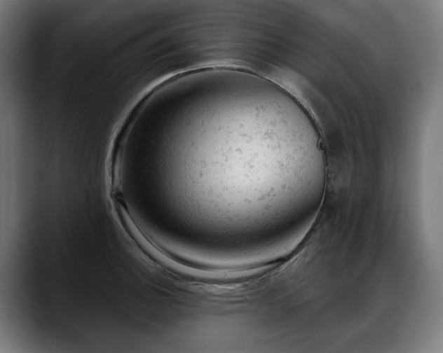 X0000088651140200705251456