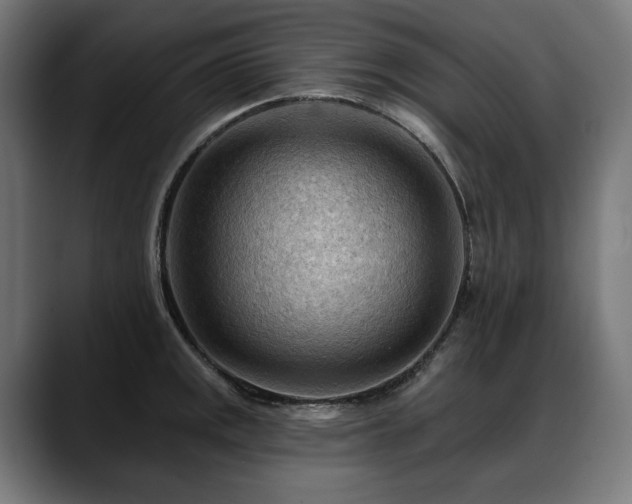 X0000088651141200705251456