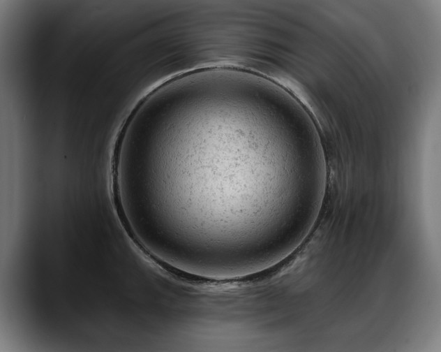 X0000088651143200705251456