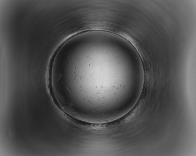 X0000088651147200705251456