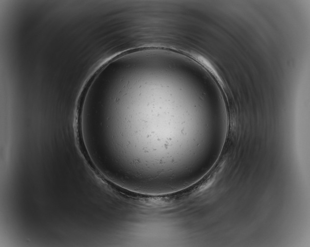 X0000088651149200705251456