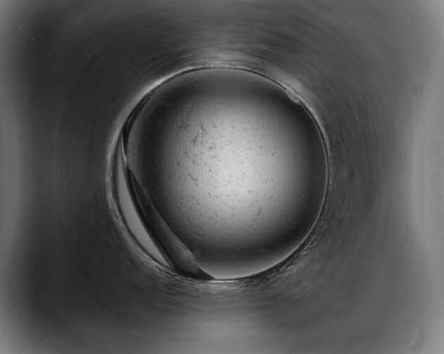 X0000088651152200705251456