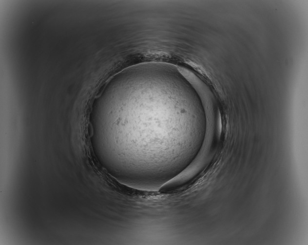 X0000088651153200705251456