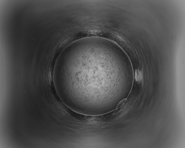 X0000088651155200705251456