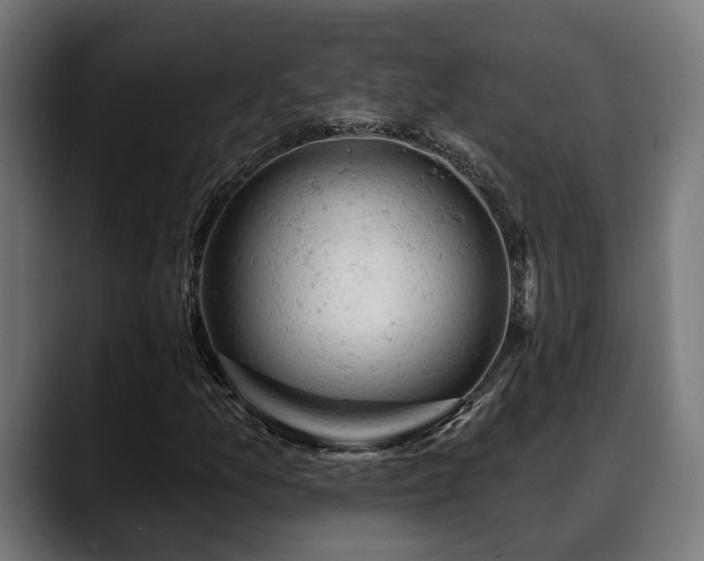 X0000088651157200705251456