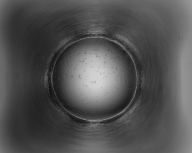 X0000088651162200705251456