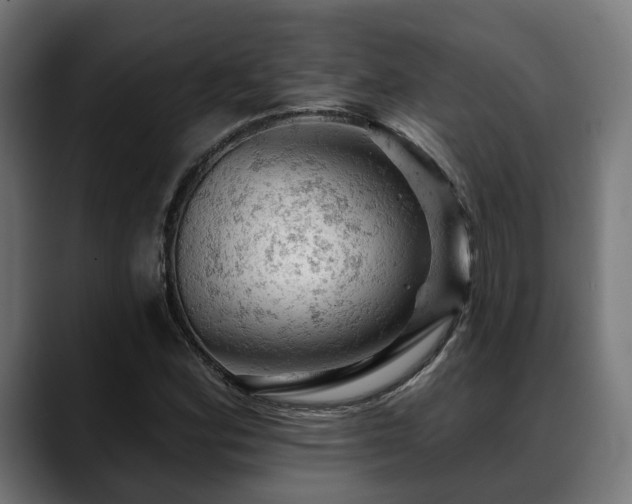 X0000088651164200705251456