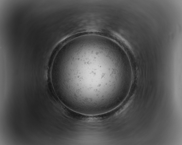 X0000088651166200705251456