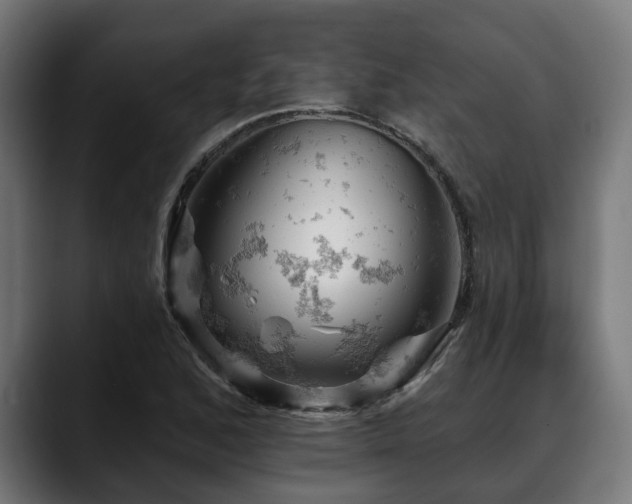 X0000088651168200705251456