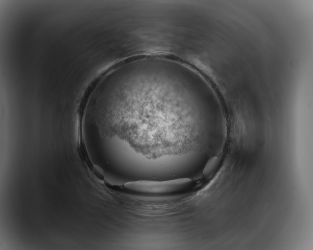X0000088651171200705251455