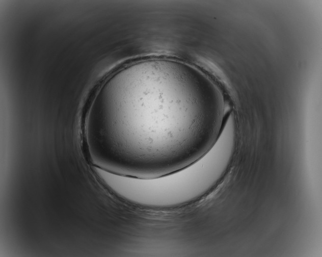 X0000088651172200705251455