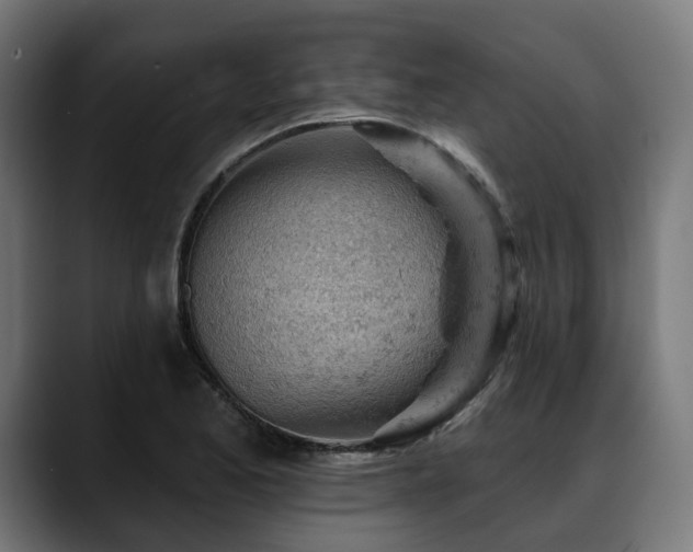 X0000088651173200705251455