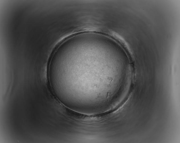 X0000088651174200705251455