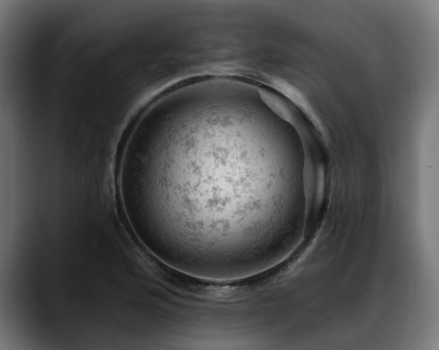 X0000088651176200705251455