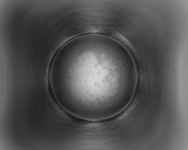 X0000088651178200705251455