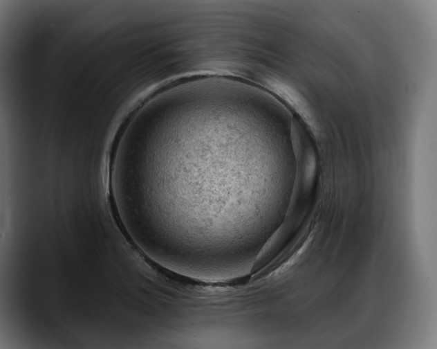 X0000088651180200705251455