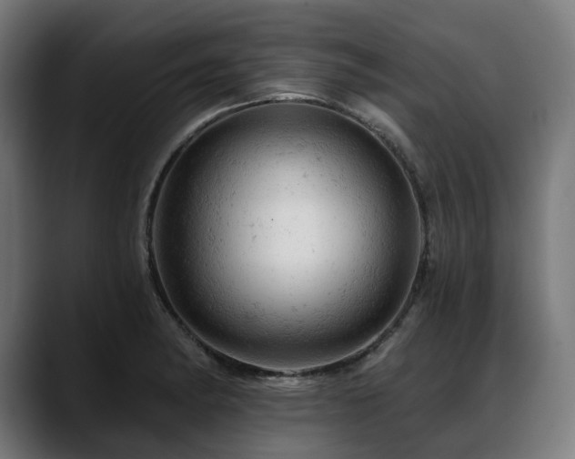 X0000088651182200705251455