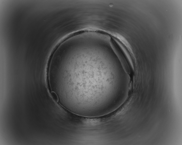 X0000088651183200705251455