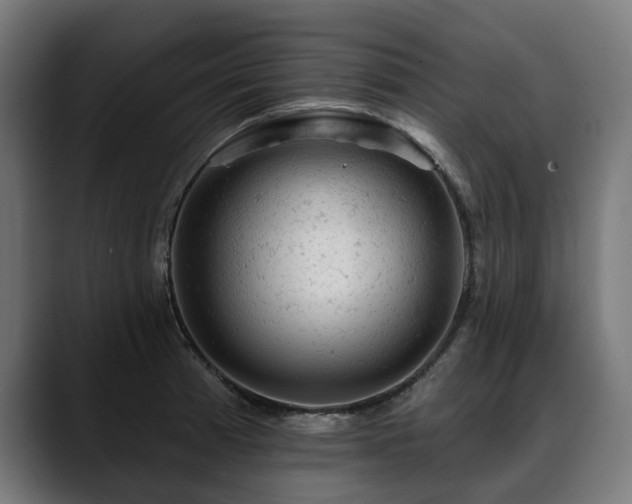 X0000088651185200705251455