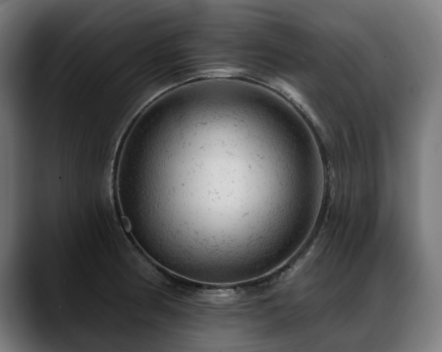 X0000088651186200705251455