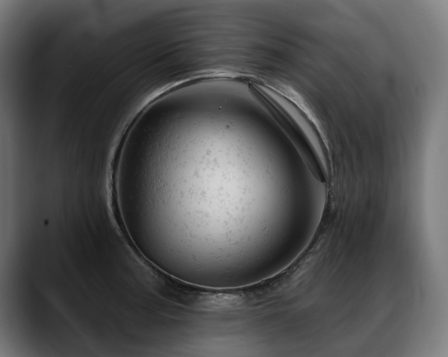 X0000088651187200705251455