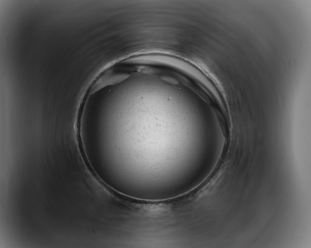 X0000088651189200705251455