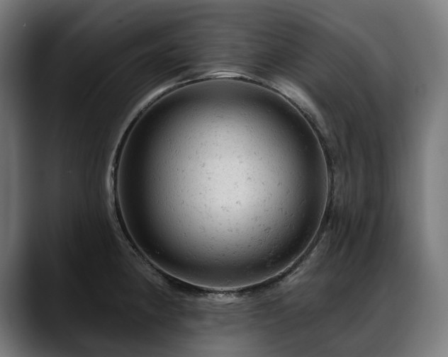 X0000088651190200705251455