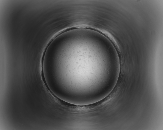 X0000088651191200705251455