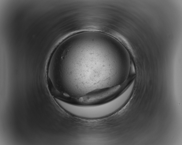 X0000088651192200705251455