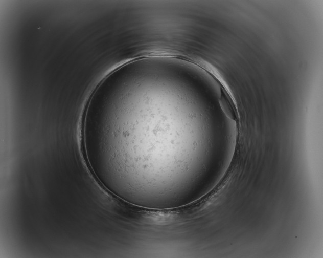 X0000088651195200705251455