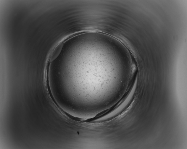 X0000088651196200705251455