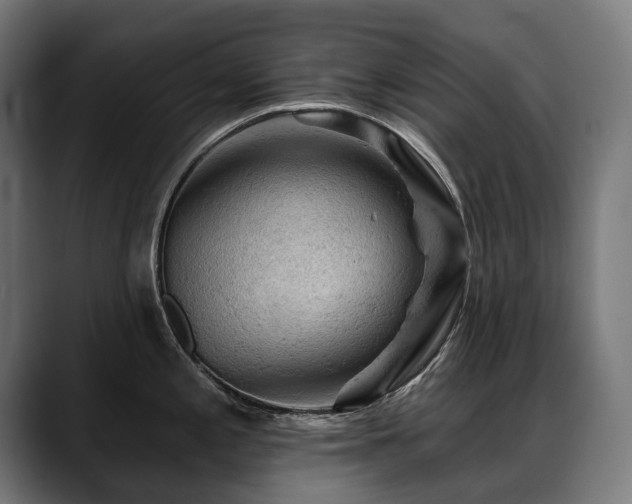 X0000088651197200705251455