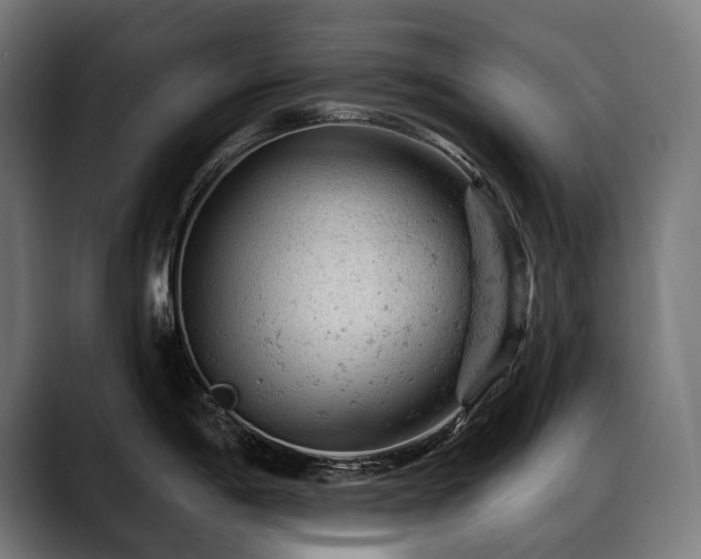 X0000088651198200705251455