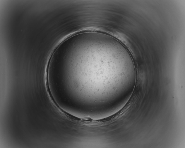 X0000088651199200705251455