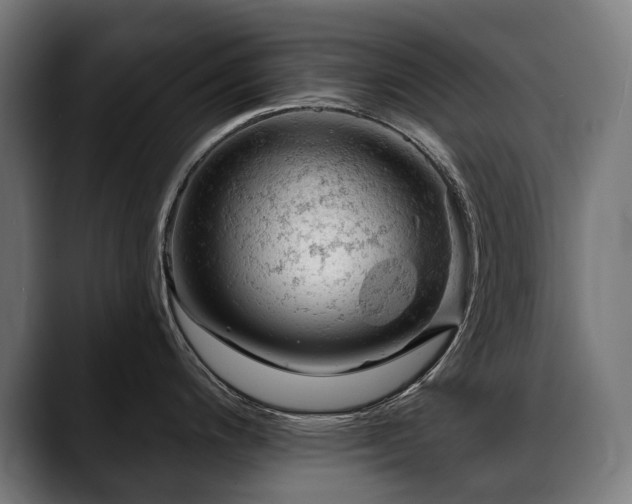 X0000088651200200705251455