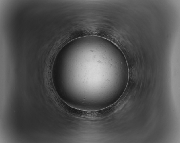 X0000088651201200705251454
