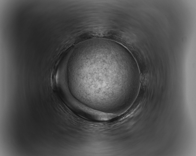 X0000088651202200705251454