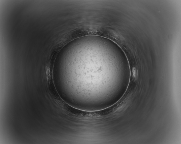 X0000088651203200705251454