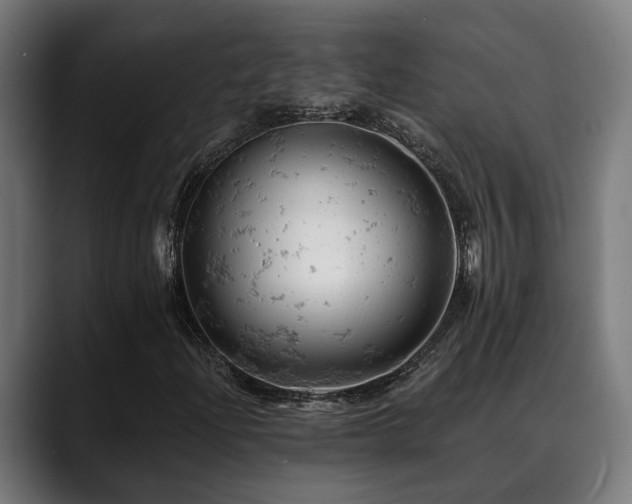 X0000088651204200705251454