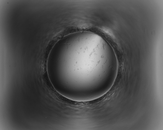 X0000088651205200705251454