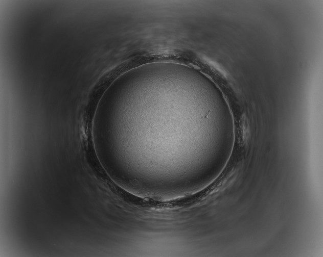 X0000088651206200705251454