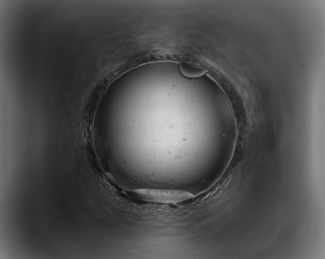X0000088651207200705251454