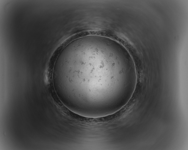 X0000088651208200705251454