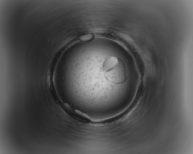 X0000088651209200705251454