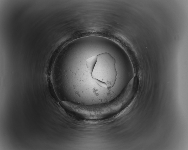 X0000088651210200705251454