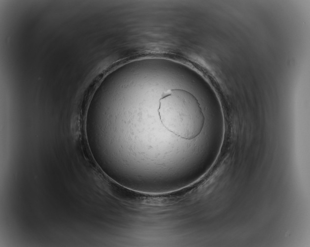 X0000088651211200705251454