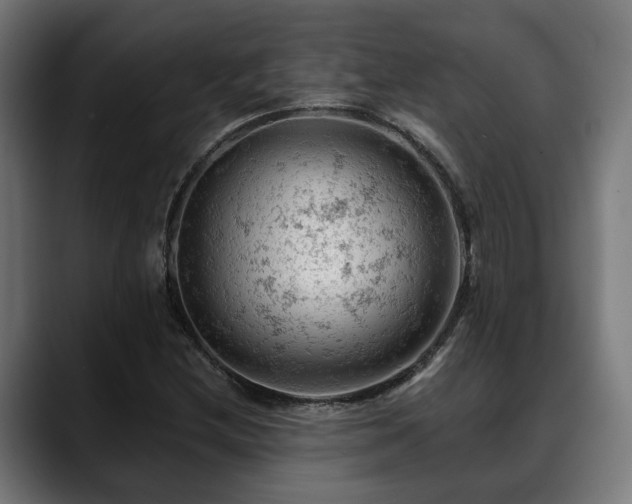 X0000088651212200705251454