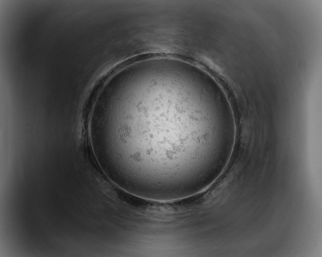 X0000088651215200705251454