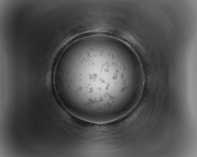 X0000088651216200705251454