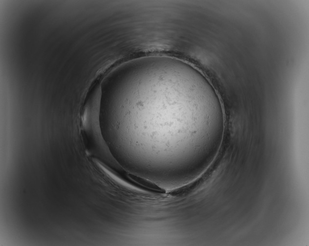 X0000088651217200705251455